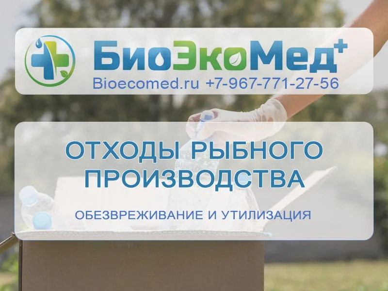 Отходы рыбного производства
